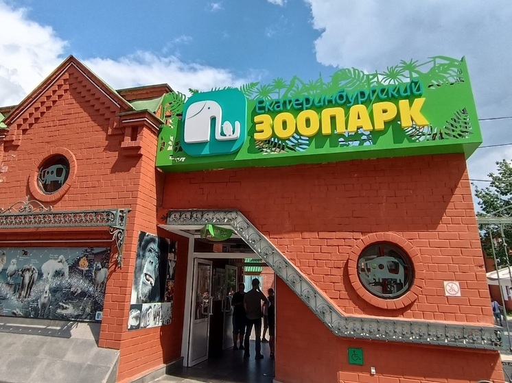 Екатеринбургский зоопарк готовится к юбилею и ищет пару для капибары