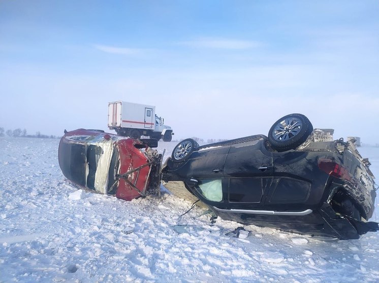 Алтайские спасатели помогли попавшим в беду на дороге гражданам Киргизии