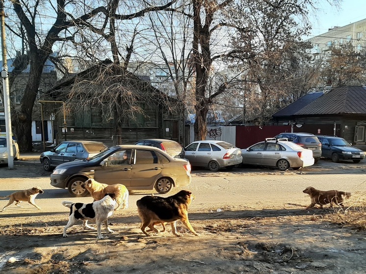 В Саратове снизят территориальный коэффициент ОСАГО