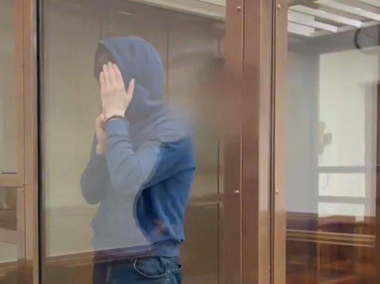 Жителя Красногорска приговорили к 17 годам тюрьмы за госизмену