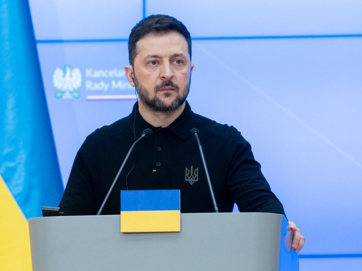 Нардеп Дубинский: Трамп заставил Зеленского крутиться как уж на сковородке