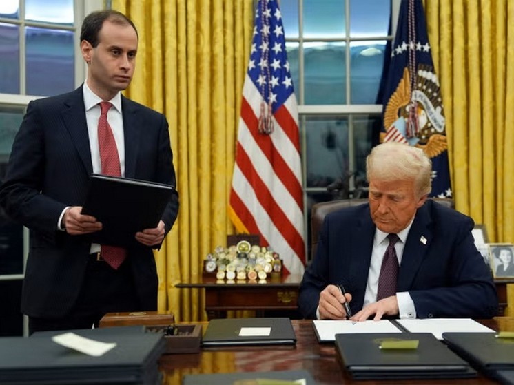 Чем известен Уилл Шарф