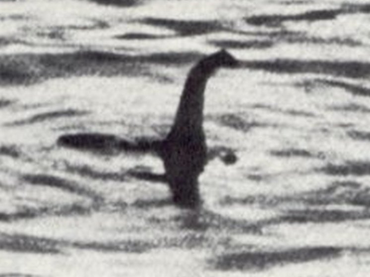 «Приношу извинения всем криптозоологам за то, что забил последний гвоздь в крышку гроба»