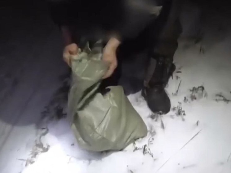 Житель Хакасии заплатит больше 120 тыс за «найденный» в тайге мешок с мясом косули