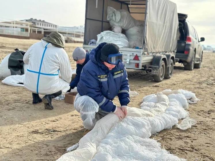 Студенты из Донбасса помогают ликвидировать последствия разлива мазута в Черном море