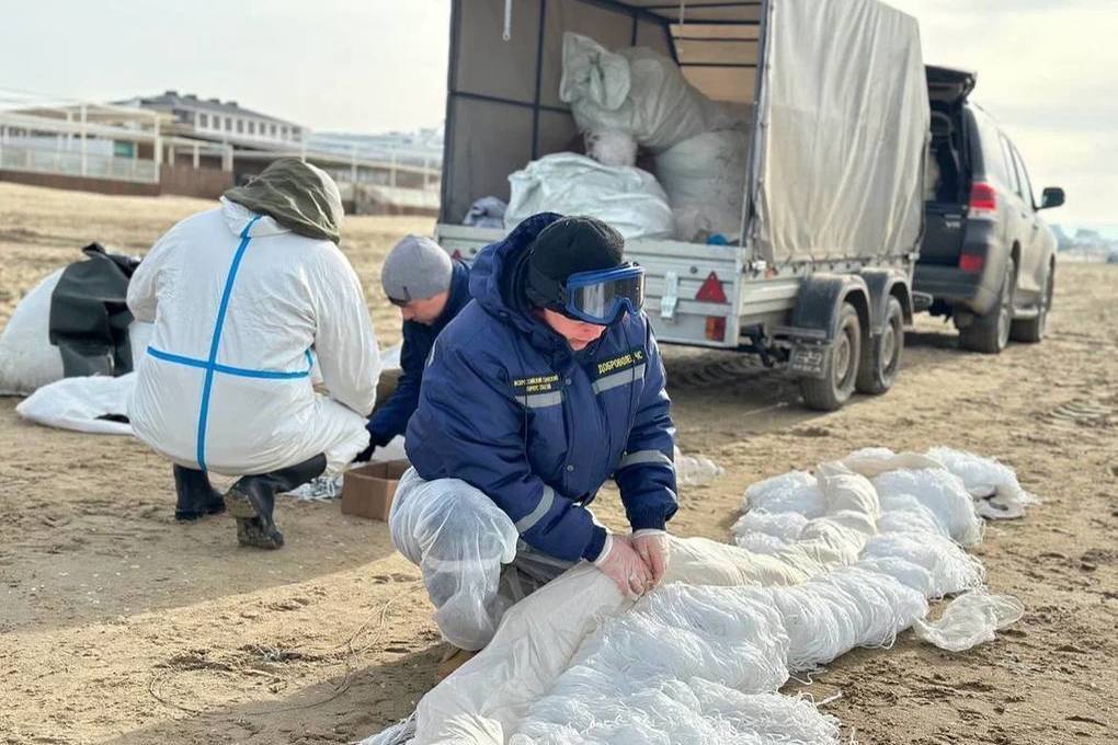 Студенты из Донбасса помогают ликвидировать последствия разлива мазута в Черном море