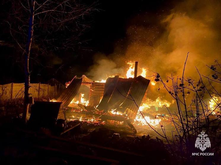 Новгородские спасатели потушили четыре охваченные пламенем бани в январе