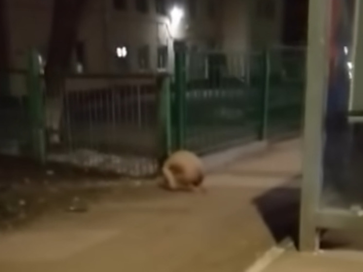 Видео. Творческая студия «Махавик». Свадебная фото и видеосъёмка в Подольске Видео. Творческая студия «Махавик». Свадебная фото и видеосъёмка в Подольске