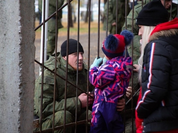 Детский омбудсмен сообщила о мерах поддержки семей бойцов СВО в Новосибирске