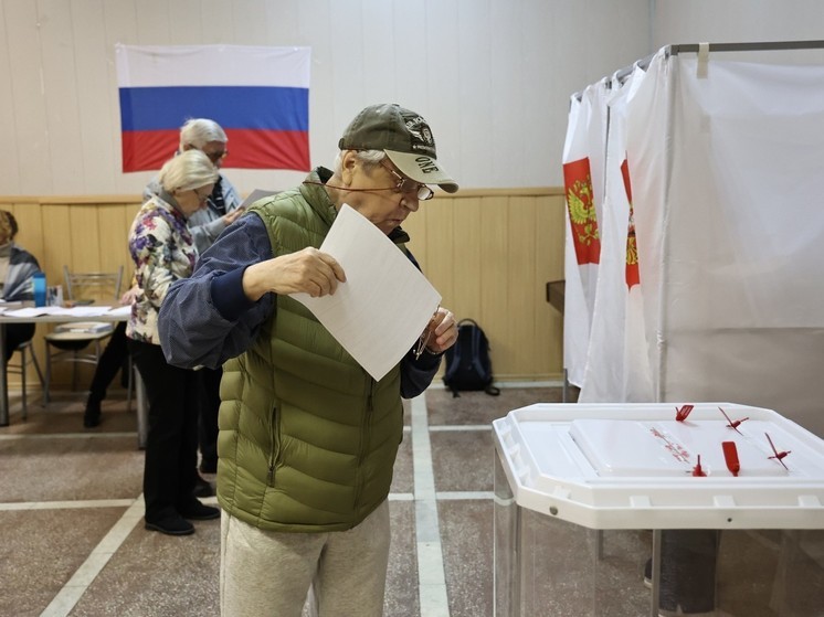 Южноуральская ЛДПР решила сделать ставку на лидера партии на выборах в ЗСО