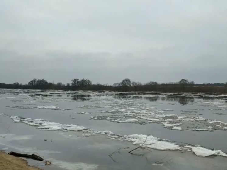 На Оке в Подмосковье прошел январский ледоход