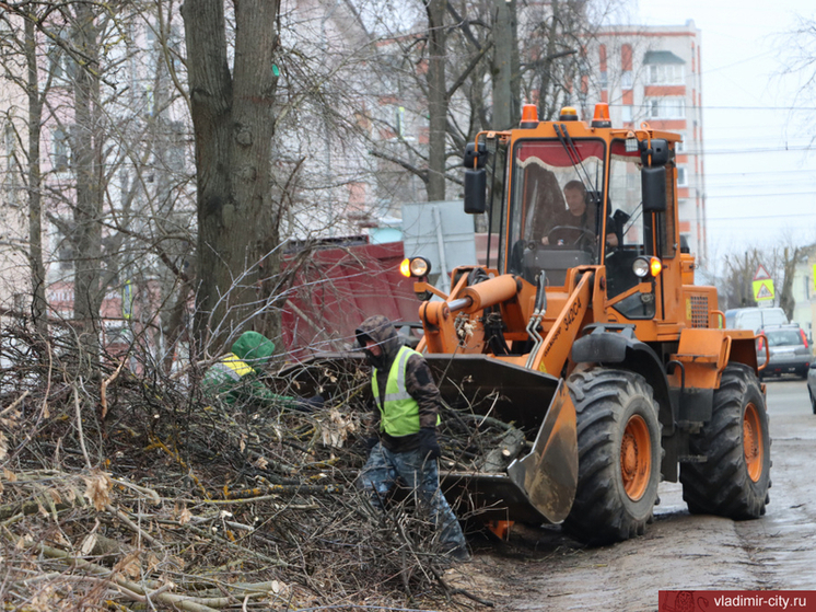 Во Владимире обрезали городские деревья