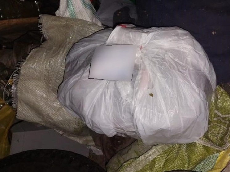 В Липецкой области полицейские изъяли партию наркотиков у местного жителя