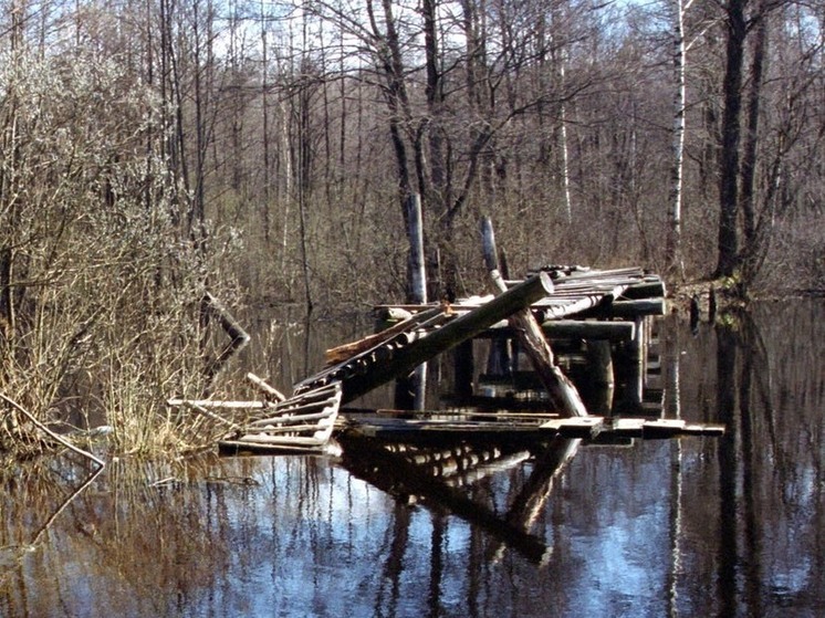 О возможном раннем и слабом половодье предупредил синоптик
