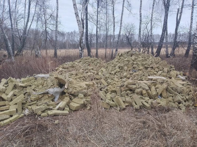 В Алексине обнаружили свалку из утеплителя