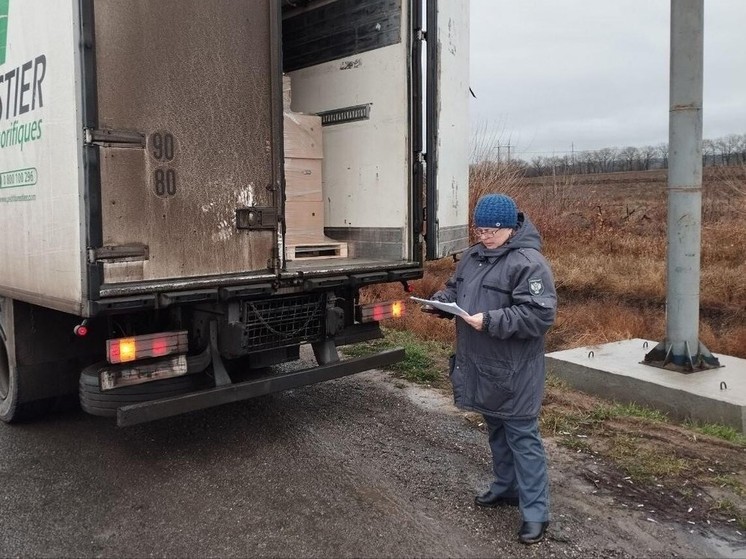 В Запорожской области выявлена незаконная перевозка 100 тонн гороха