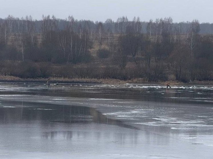 В Тульской области прохожих шокировали рыбаки на тонком льду реки