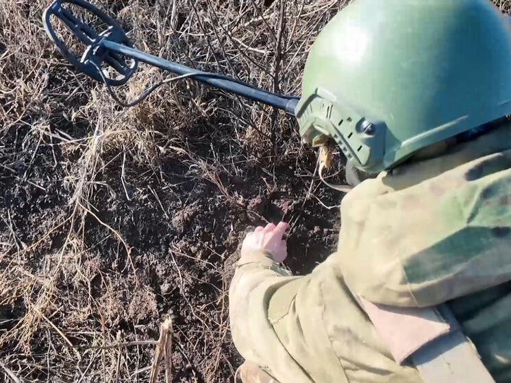 ВСУ стали активнее минировать Запорожскую область