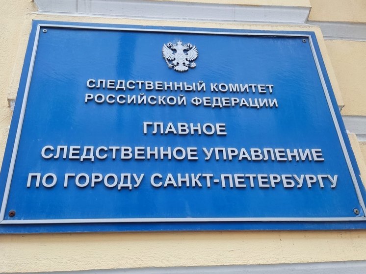 Глава СК поручил возбудить дело после избиения подростков мужчинами в Петербурге