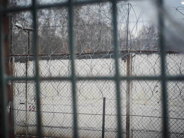 В Новосибирской области пенсионер получил 9 лет за убийство знакомой