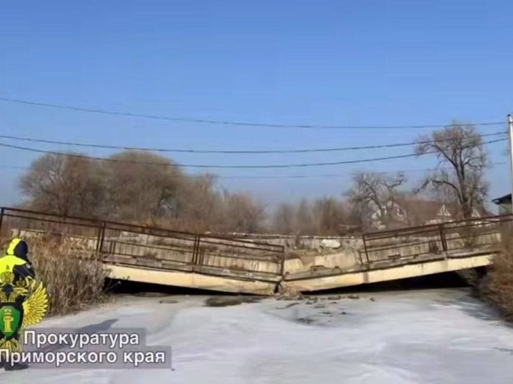 Автомобильный мост рухнул в Приморье: прокуратура начала проверку