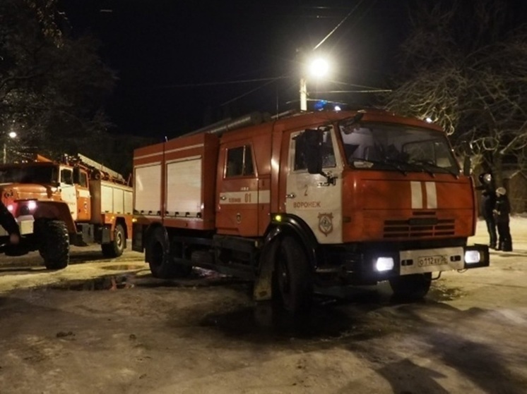 В Воронежской области горел заброшенный завод