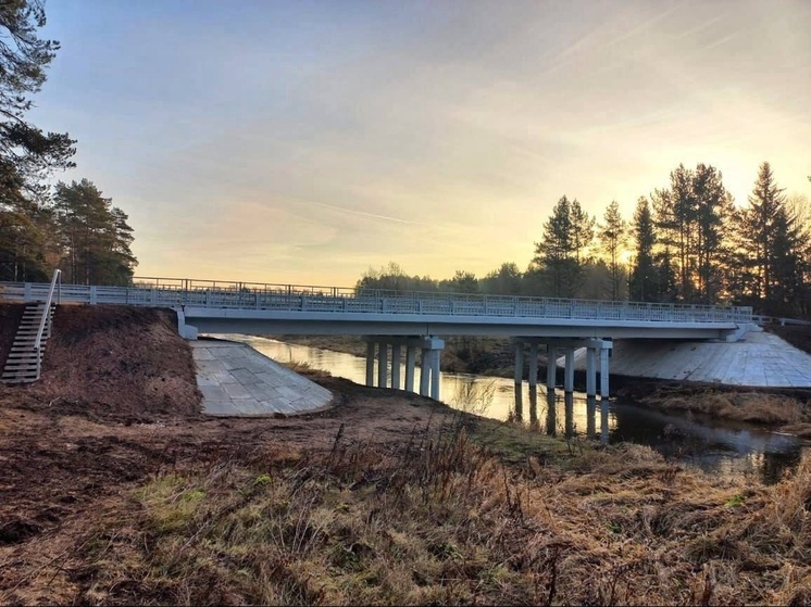 За шесть лет в Новгородской области отремонтировали 35 мостов