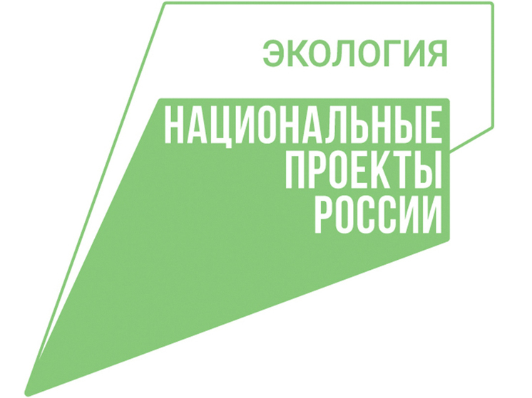 В Ивановской области на федеральные деньги ликвидировали три свалки