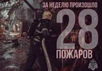 За последние семь дней пожарная обстановка в Астраханской области оставалась напряженной – зафиксировано 28 пожаров