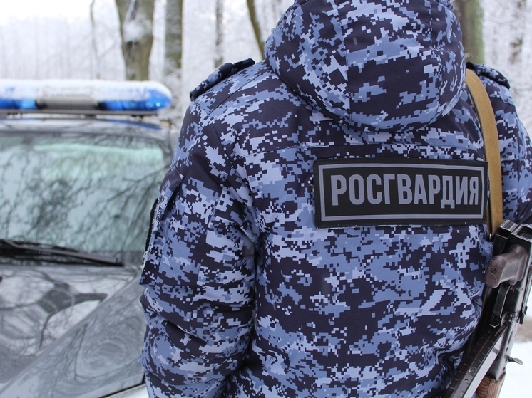 17-летний любитель ликера попался псковским росгвардейцам