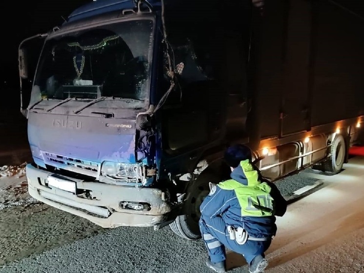 На дороге Екатеринбург – Тюмень пешеход погиб при наезде грузовика Isuzu