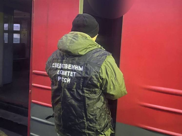 Подросток погиб в Подмосковье от удара током на электричке