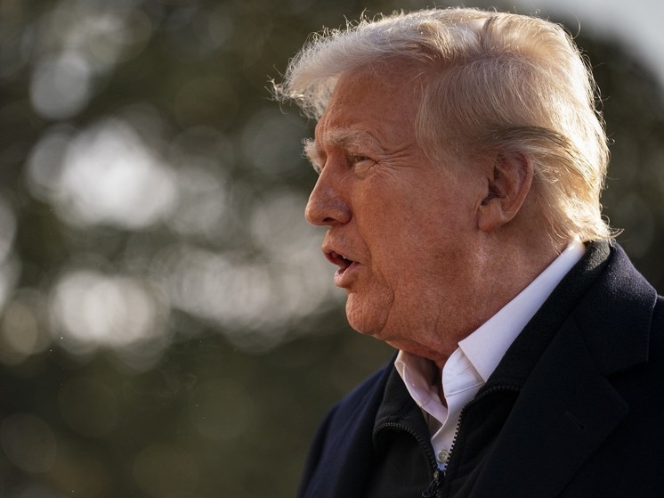 WP: Трамп поручил ICE увеличить число задержаний нелегальных мигрантов