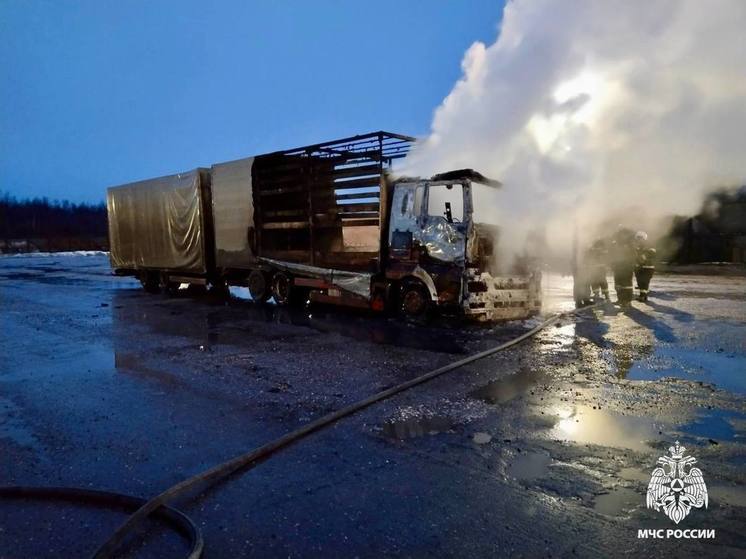 В Тверской области огонь уничтожил кабину и прицеп фуры