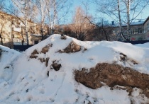 Начало второго месяца 2025 года в Томске и области будет морозным