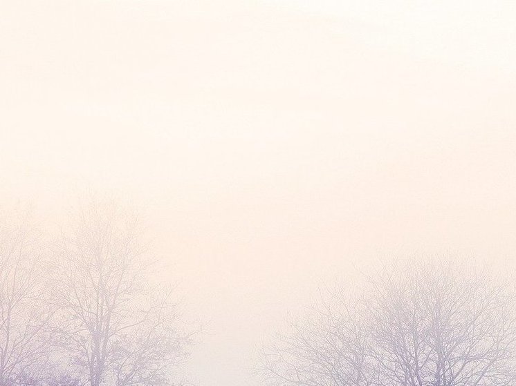 Подмосковный детский омбудсмен прокомментировала сообщения о женщине, катавшейся по льду с коляской