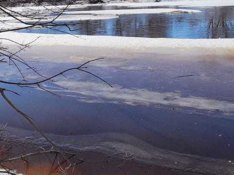 Январское половодье: пристань в рязанском Лесопарке ушла под воду