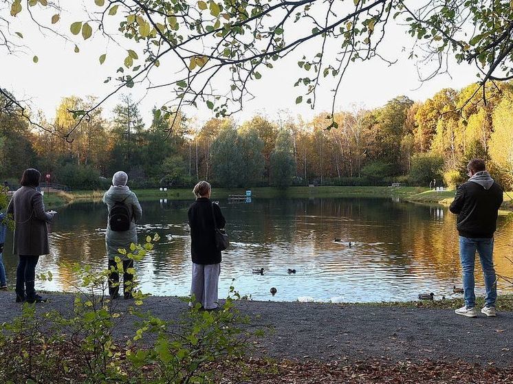 В 2024 году в Москве провели реабилитацию более 20 прудов