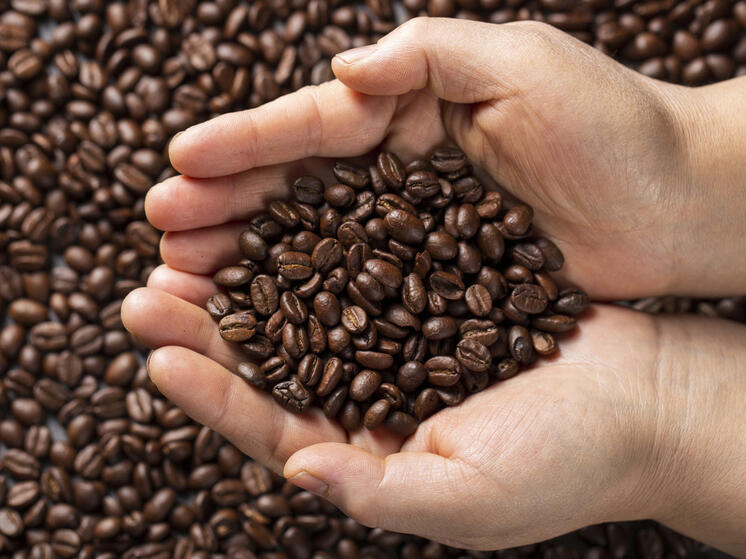 РИА Новости: биржевые цены на арабику обновили новый рекорд