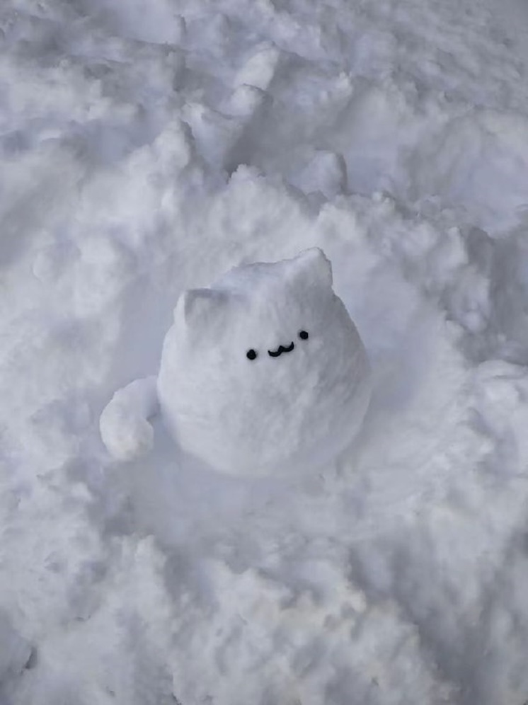 Народные приметы на 28 января 2025 года: чего нужно остерегаться в Павлов день