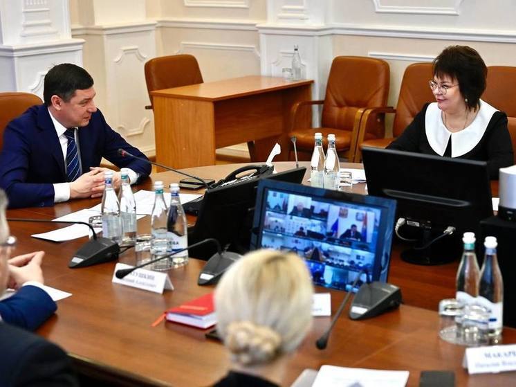 Сотрудничество с ЛНР обсудили на совещании у врио главы Тамбовской области