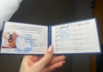 Необычное поветрие наблюдается с начала нового года в региональных вузах