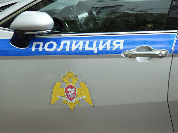 Подросток, заступившись за мать, выстрелил в отчима
