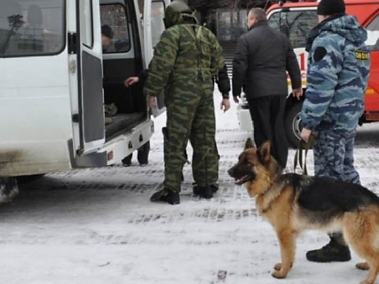 Во Владимире мошенники "заминировали" почти все школы