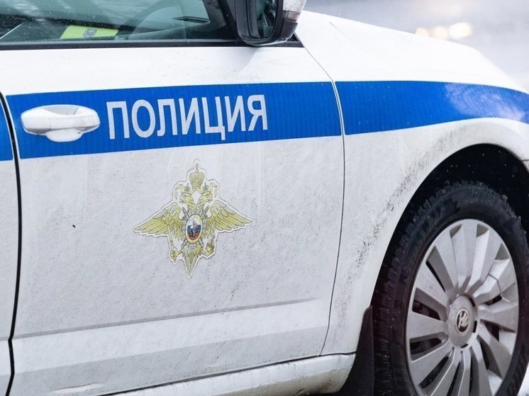 Петербуржец-закладчик получил 4,5 года колонии строго режима