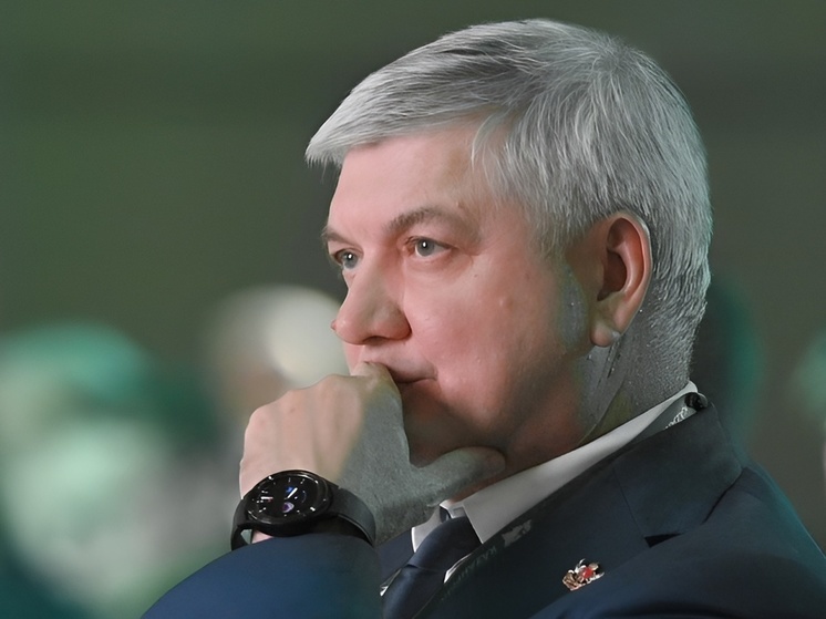 Александр Гусев назвал причины неполного кассового исполнения госпрограмм