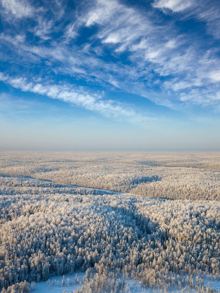 Опасные температуры могут повысить смертность в Европе на 50%, сообщили ученые