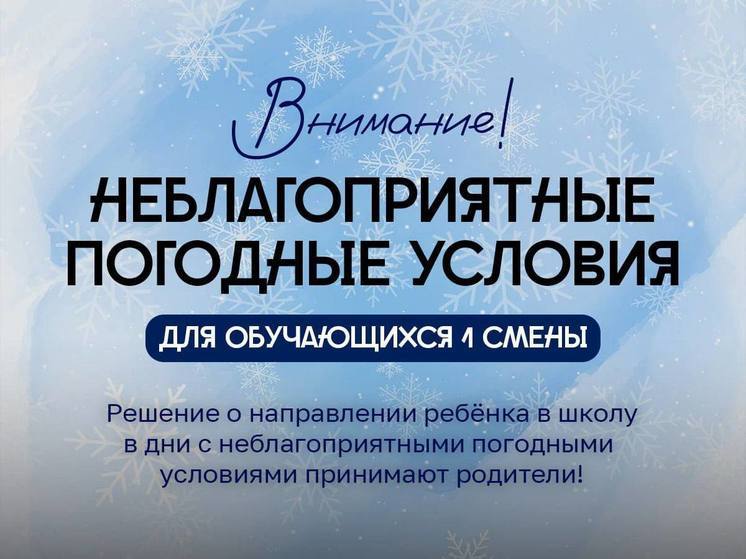 Младшеклассникам из Нового Уренгоя разрешили остаться дома из-за мороза