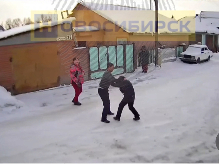 Под Новосибирском мужчина напал на ребенка из-за детской шалости