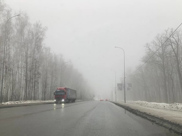 Сильный туман ожидается в Пензенской области 28 января